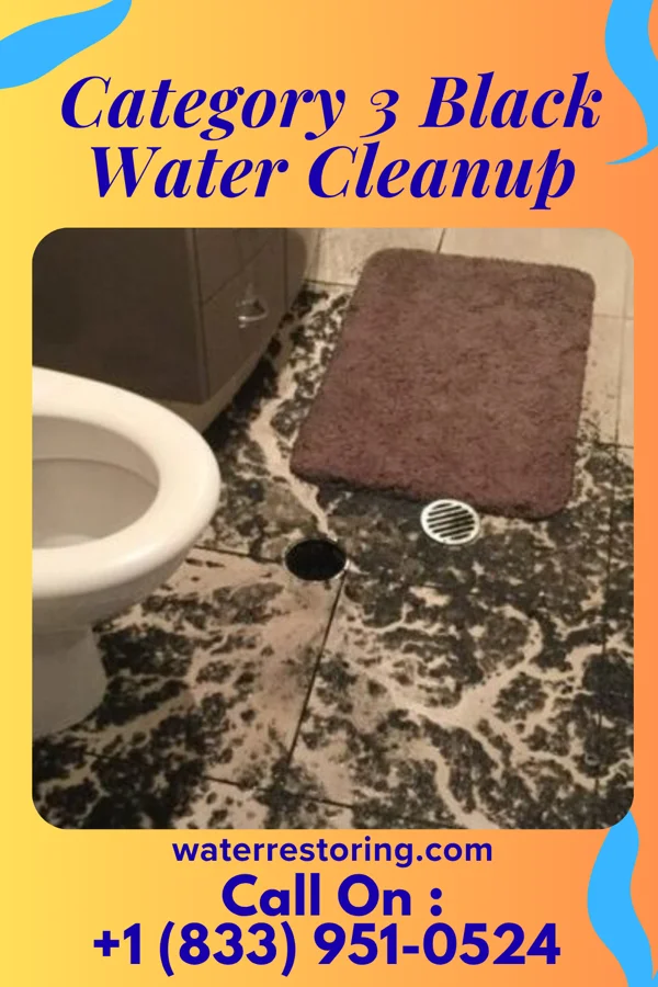 Category 3 Black Water Cleanup in Clearfield, UT