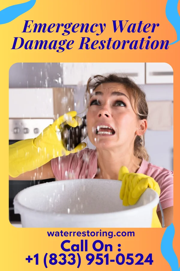 Emergency Water Damage Restoration in Clearfield, UT